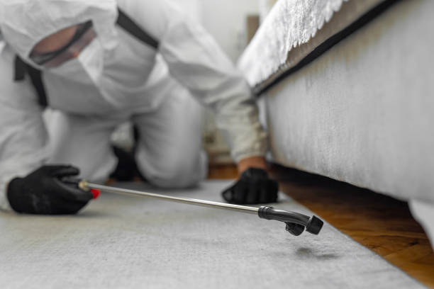 Professional Pest Control technician working in Buchanan Dam, TX